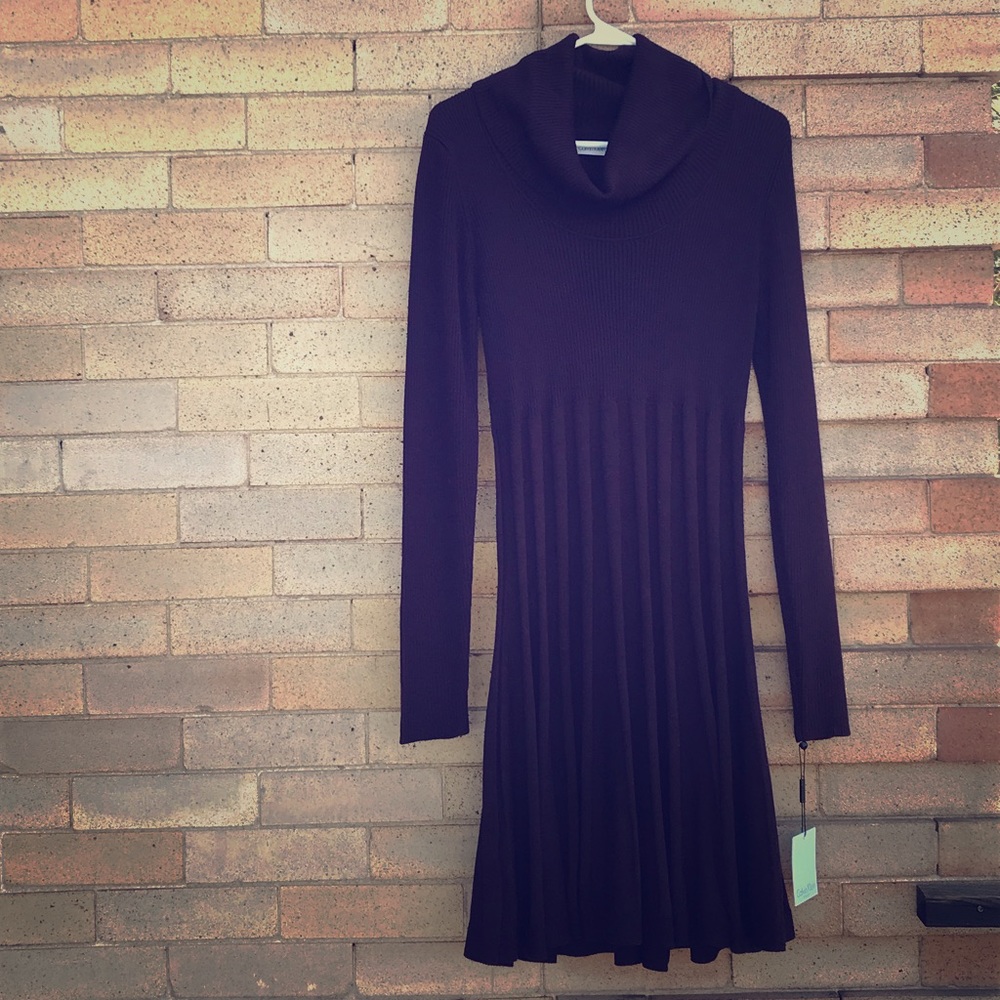 NWT CALVIN KLEIN (M) Purple Sweater Dress, Long Sl